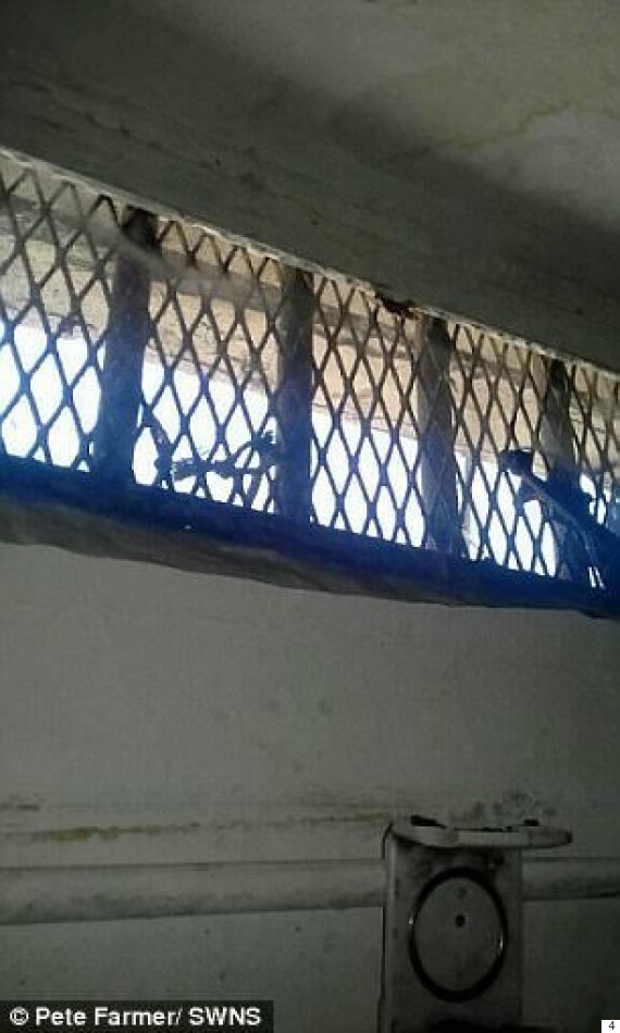 صحيفة بريطانية تتحدث عن الأوضاع المروّعة لسجن القناطر في مصر.. صورٌ موثقة من الداخل تظهر م O-4-570