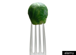 The Rise of Non-Perfectionist Veganism, Part II: How Perfectionism Disempowers Vegans and Vegan Activists