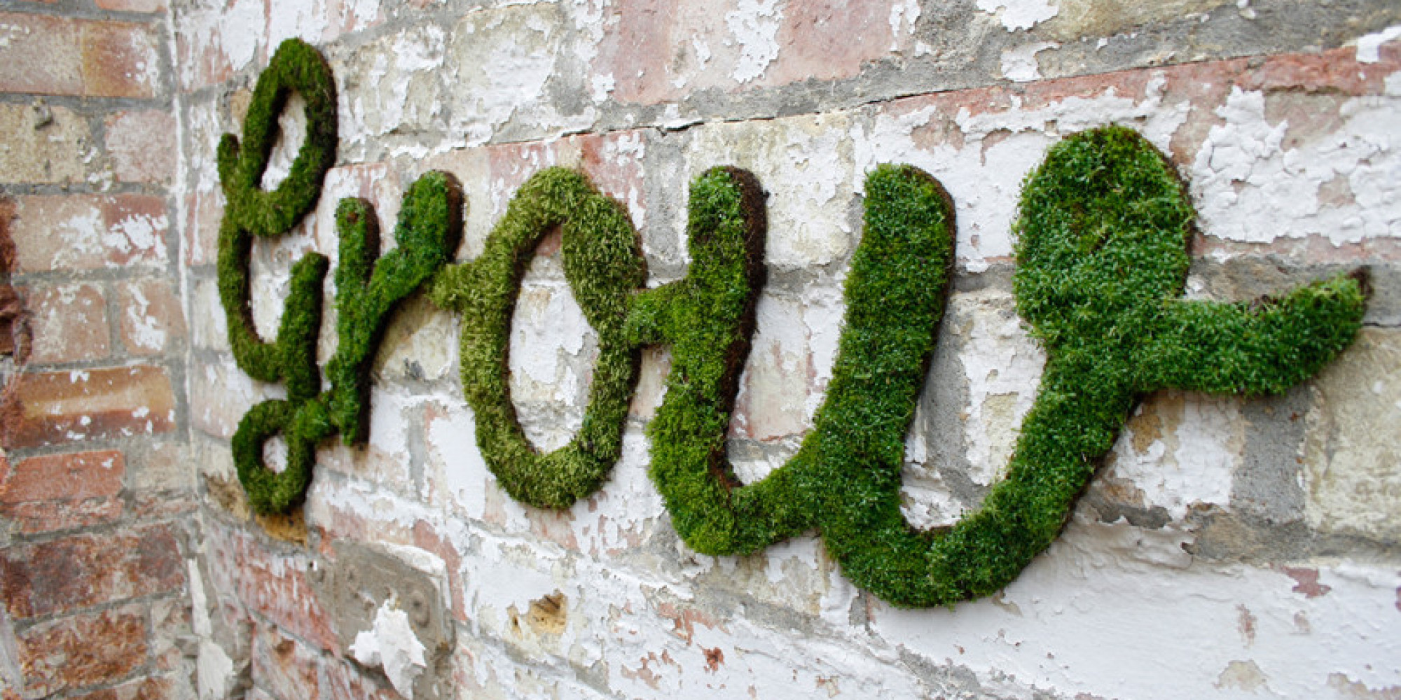 Moss Graffiti Makes EcoFriendly Street Art (PHOTOS) HuffPost