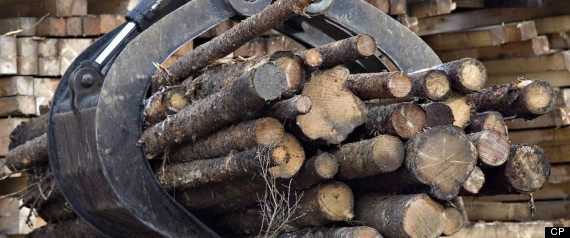 Lumber