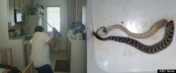 Golfsnake