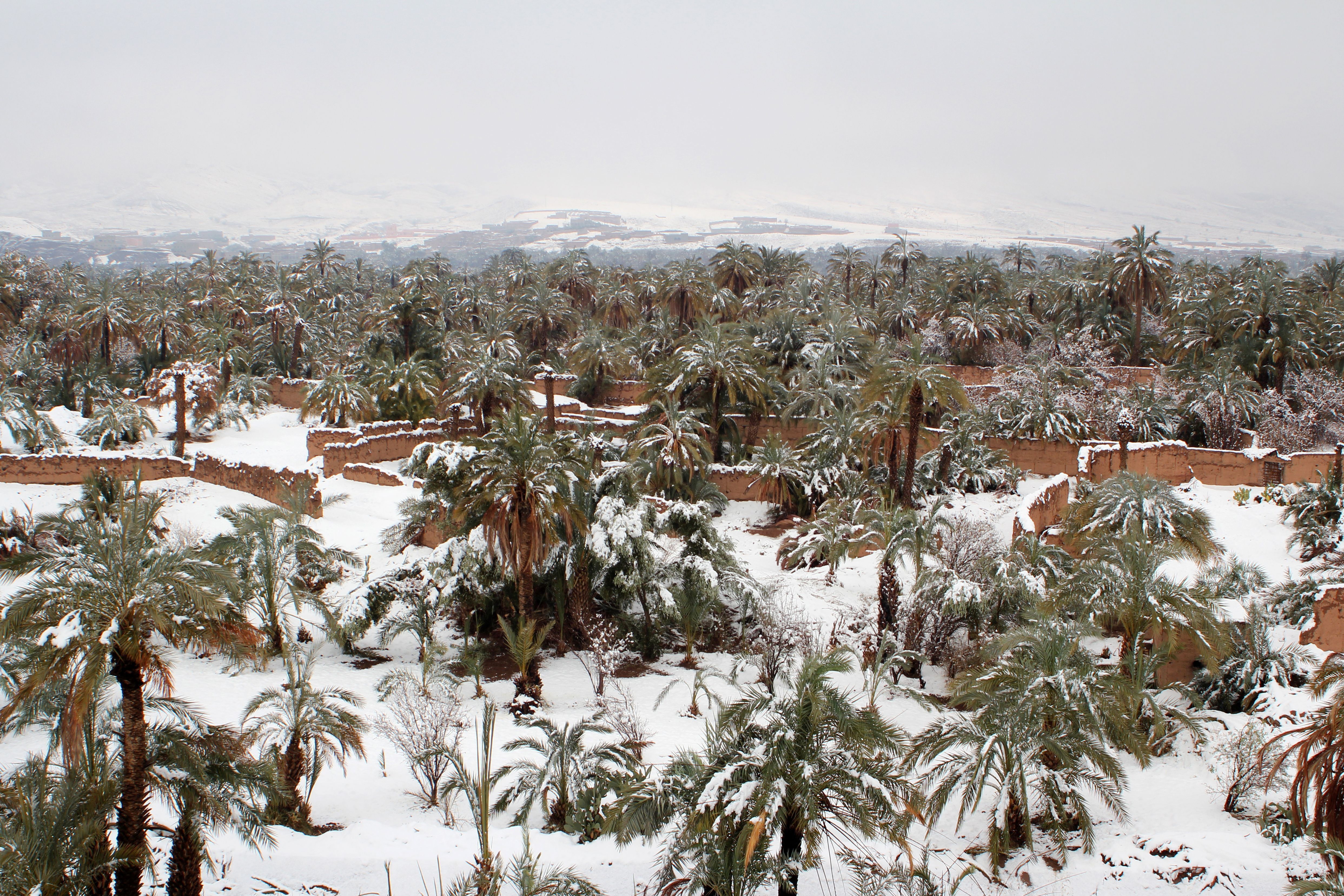 morocco snow