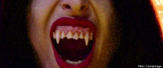 Vampire Bounty