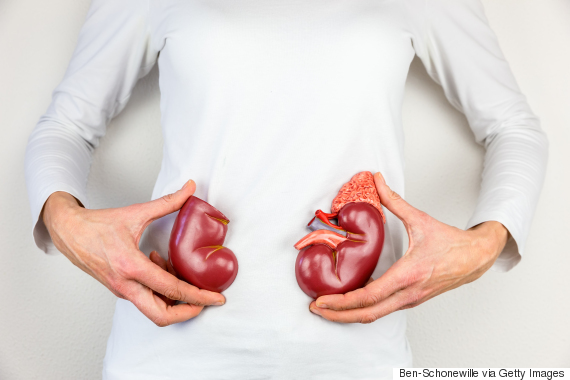 organs
