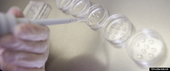 Fertility Bans Europe