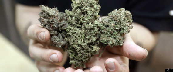 Marijuana Canada Bc Cookies