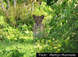 Creating a Legacy on Endangered Species Day
