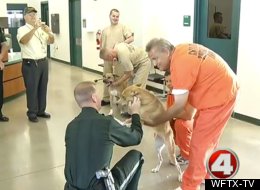 Dog Prison