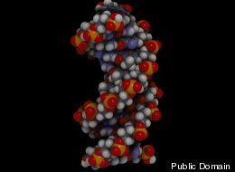 Artificial DNA Can Do WHAT?