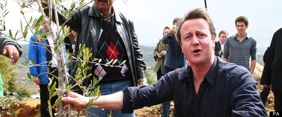 David Cameron Green Renewable
