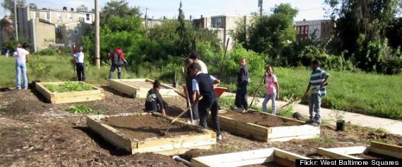 Detroit School Garden
