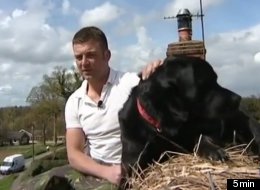 Axel Newfoundland