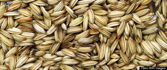 Healthy Grains