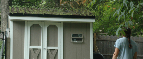 Green Roof