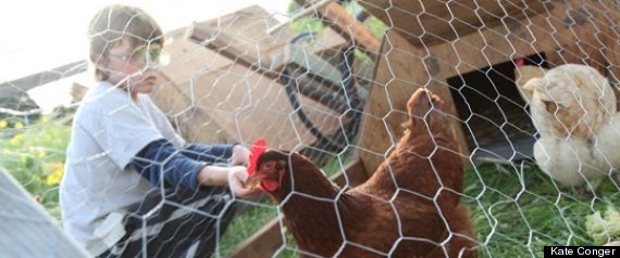 Occupy The Farm