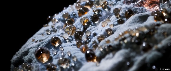 Caters_rottenlandscapes_14