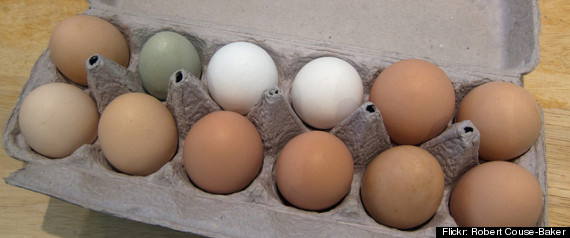 Chicken Eggs