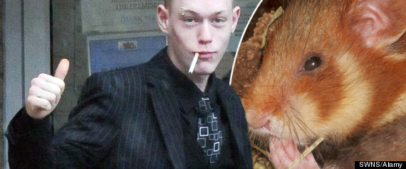 Hamster Killer