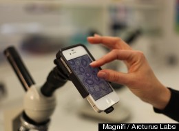 Your iPhone Is Now A Microscope