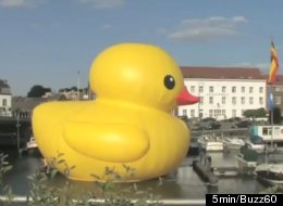 Giant Rubber Duckies