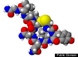 'Trust Molecule' Dictates How We Form Relationships, Expert Writes