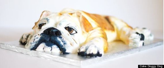 Cake Dogs