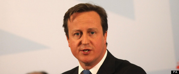 Cameron Local Elections
