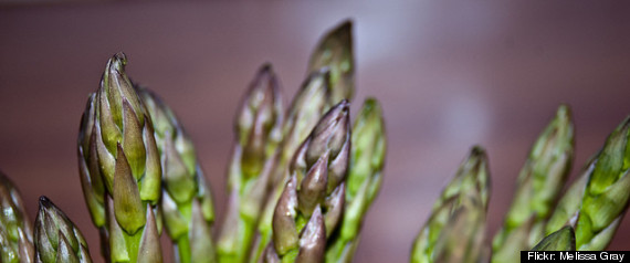 Asparagus Festival Cancelled