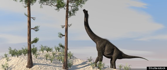 Dinosaurios