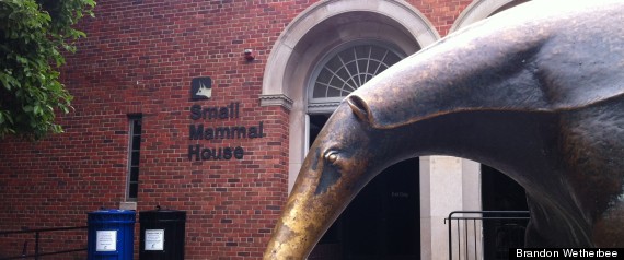 Small Mammal House