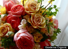 Pride in My Bride: A Mother's Day Tribute