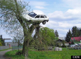 LOOK: Angry Neighbouts Put Boy Racer's Car On Top Of A Tree
