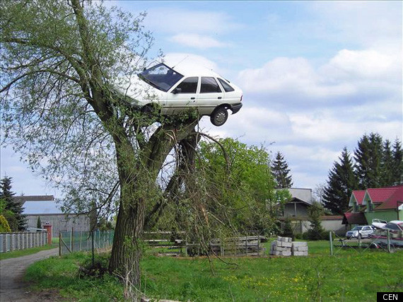 car and tree