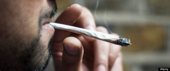 Marijuana Laws Canada C 10