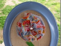 Fabric Flower