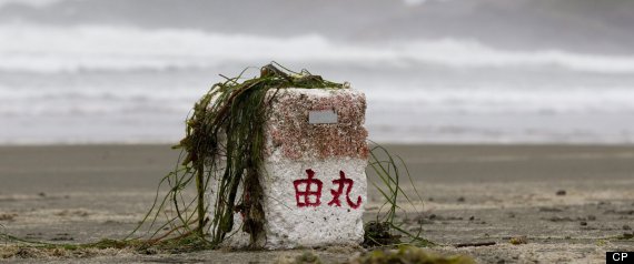 Tsunami Debris