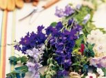 Cutting Garden