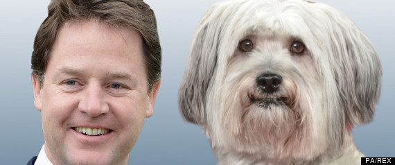 Nick Clegg Pudsey