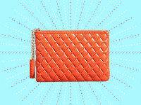 Wristlet