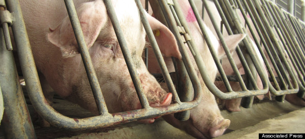 Denny's Makes Big Change To Pork Sourcing