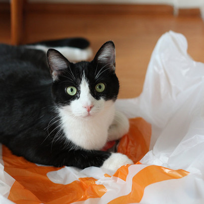 5 New Uses For Plastic Bags