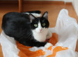 5 New Uses For Plastic Bags