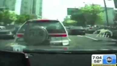 dashboard cam