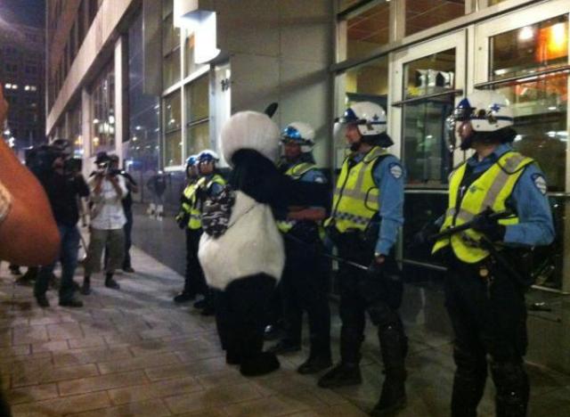 panda greve etudiante