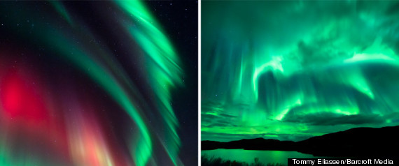 Aurora Borealis Tommy Eliassen