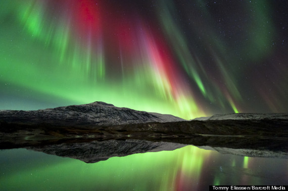 tommy eliassen aurora