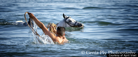 Horse Runs Into Sea