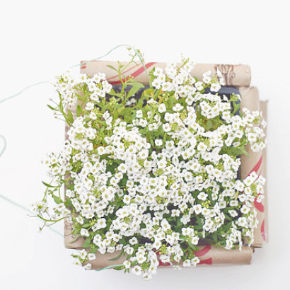 A Free (And Chic!) New Way To Display Flowers