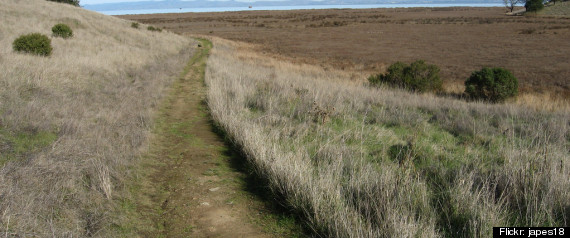 Fifteen California Parks Saved