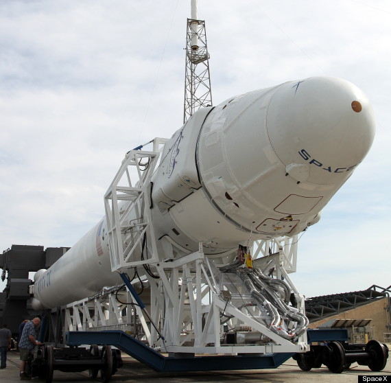 space x 1